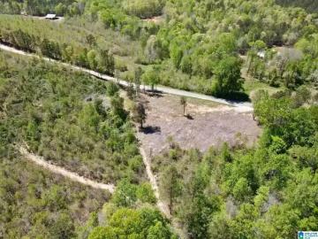0 LANDFILL ROAD # 1, ASHLAND, AL 36251