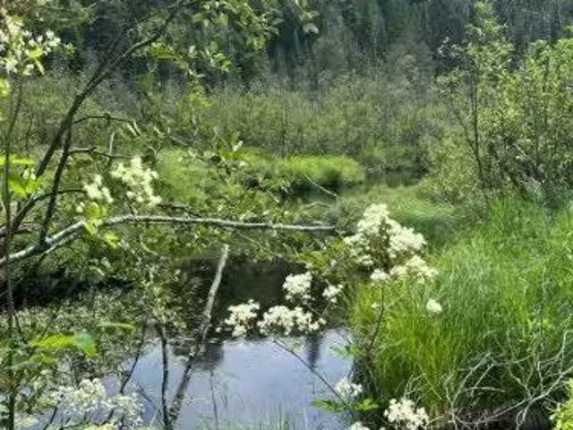 0 Pt Lt 6 Con 9 N/A, Highlands East, ON, K0M 1R0 vacant land.