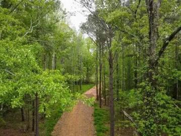 0 PUGH ROAD, MATHEWS, AL 36052