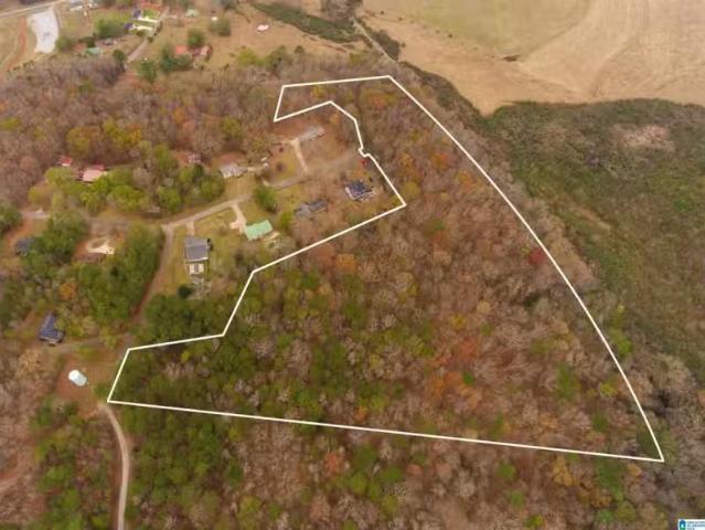 0 PAGE CIRCLE # 18.75 ACRES, ALEXANDRIA, AL 36250