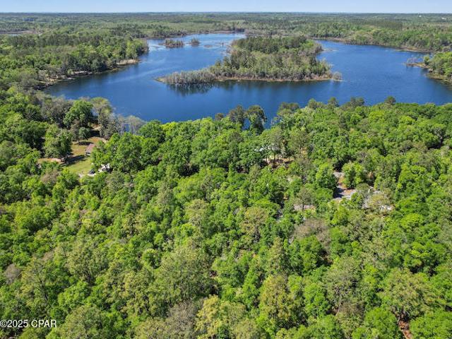 0 Paradise Lakes Rd, Chipley, FL 32428 | MLS #772140