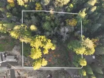 0 PATH IN THE WOODS, BERRY CREEK, CA 95916