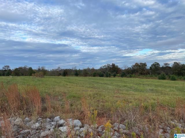 61 payton dr cox cove road