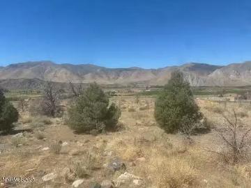 0 PINON PLACE, COLEVILLE, CA 96107