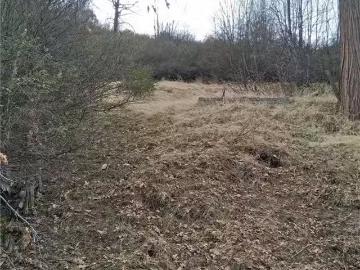 0 PINE DRIVE, CEDAR GLEN, CA 92321