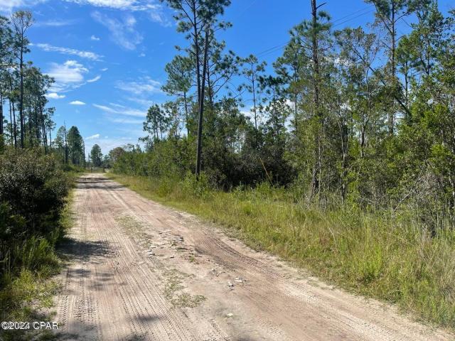 0 Plum Nearly Rd, Fountain, FL 32438 | MLS #760477