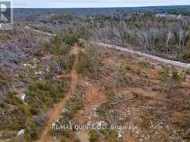 0 Potter Settlement Road, Tweed, ON, K0K 3J0 vacant land for.