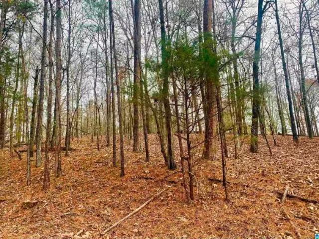 0 REDWOOD DRIVE # 13, SOUTHSIDE, AL 35907