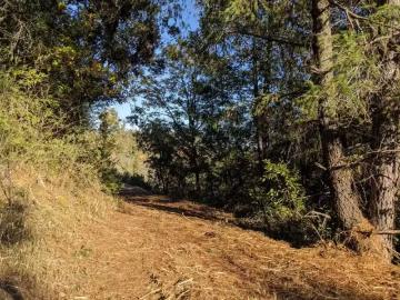0 RIGBY LANE, APPLEGATE, CA 95703