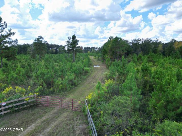 0 River Rd, Sneads, FL 32460 | MLS #780436