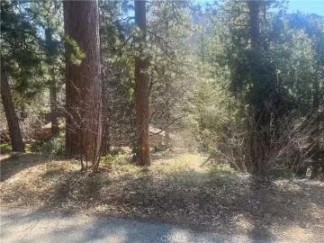 0 ROBIN OAK DRIVE, ANGELUS OAKS, CA 92305
