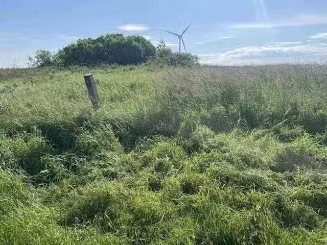 0 Route 14, West Cape, PE, C0B 1V0 vacant land for sale Lis.