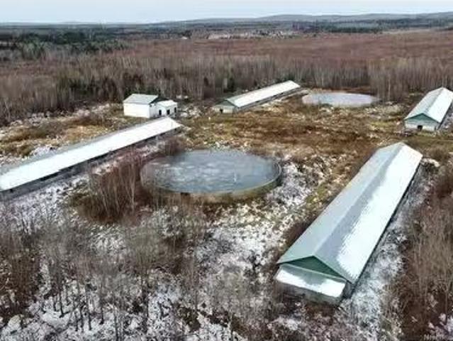 0 Route 615, Springfield, NB, E6E 1V2 farm for sale Listing.