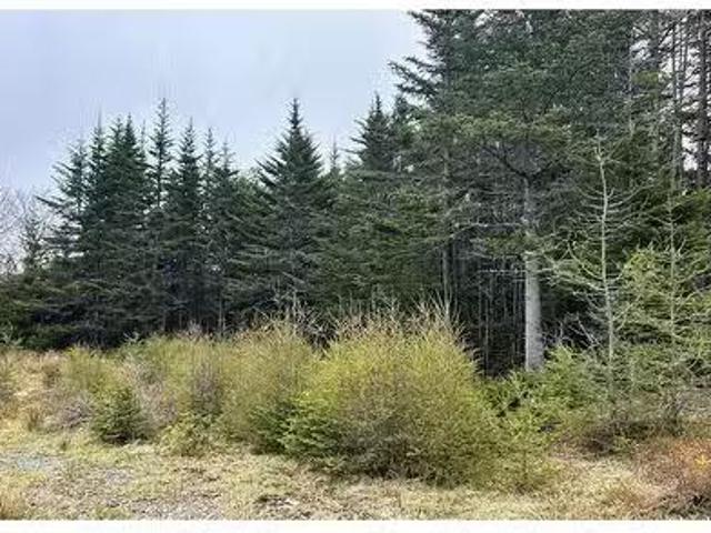 0 Strayaway Road, Blaketown, NL, A0B 1C0 vacant land for sal.