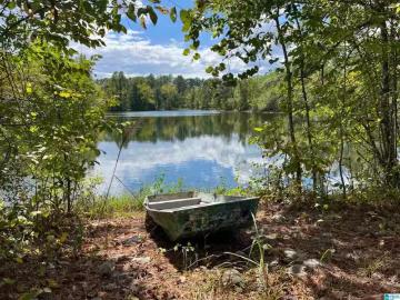 0 SWEATT ROAD # N/A, ASHVILLE, AL 35953