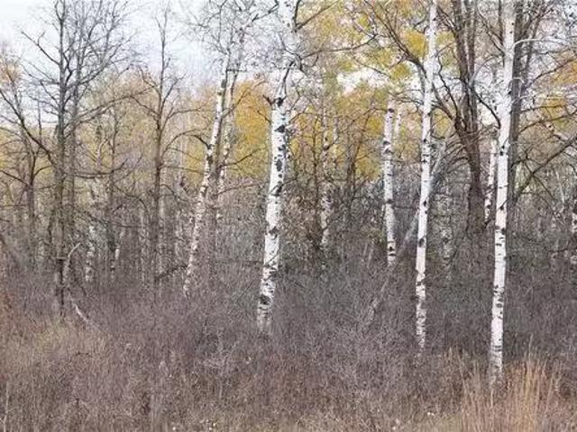 0 Settlers Road, St Genevieve, MB, R0E 0K0 vacant land for s.