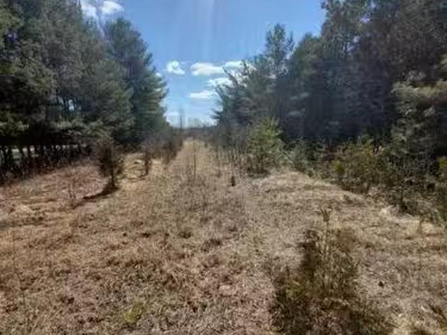 0 Slater Street, Hamilton Township, ON, K9A 4J9 vacant land.