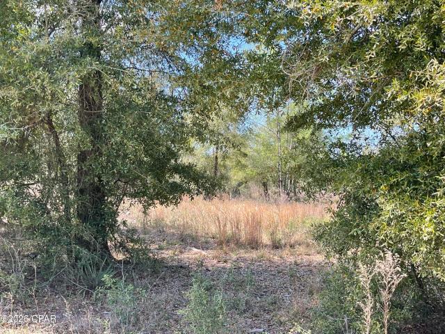 0 Speights Way, Bascom, FL 32423 | MLS #786914