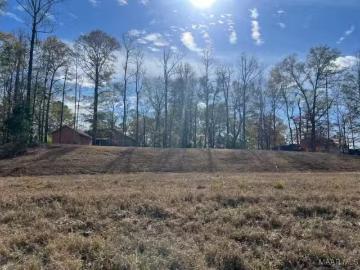 0 SPRINGWOOD DRIVE, GREENVILLE, AL 36037