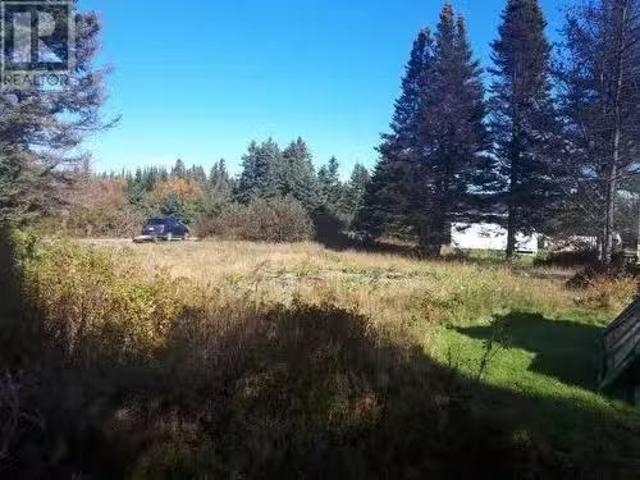 0 Spruce Brook Road, Spruce Brook, NL, A0L 1G0 vacant land f.
