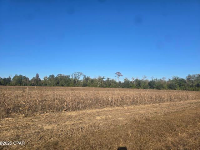 0 Texas St, Alford, FL 32420 | MLS #781638