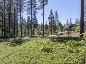0 VIREO WAY, AVERY, CA 95224