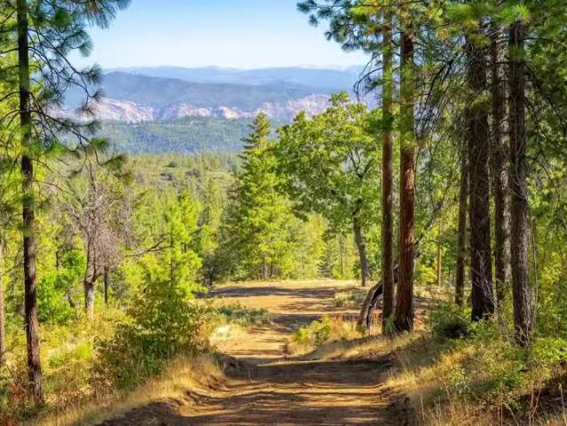 0 WAGNER RIDGE ROAD, COULTERVILLE, CA 95311