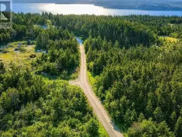 0 Wades Farm Road, Flatrock, NL, A1K 1C6 vacant land for sal.