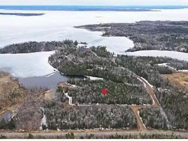 0 Waterfront Lane, Flowers Cove, NB, O0O 0O0 vacant land for.