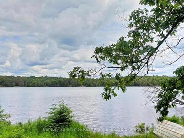 0 West Eels Lake Road, North Kawartha, ON, K0L 1A0 house for sale | Listing ID X13494 | Royal LePage