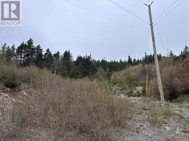 0 Whalefinn Drive, Spaniards Bay, NL, A0A 3X0 vacant land fo.
