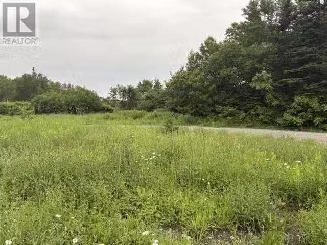 0 Wheeler'S Road, Noel'S Pond, NL, A2N 1S0 vacant land for s.