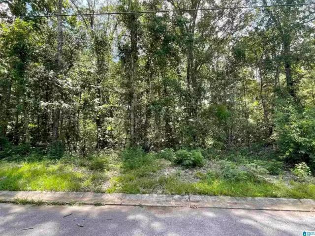 0 WILSON GLEN DRIVE # 44, WILSONVILLE, AL 35186