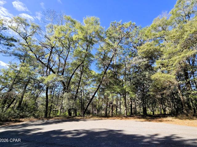 0 Yvonne Ct, Havana, FL 32333 | MLS #788134