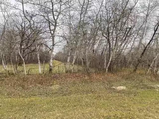 0 42W/49N Road, St Claude, MB, R0G 1Z0 vacant land for sale.
