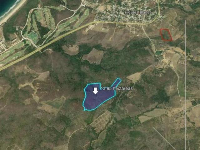 13.90 HAS EN VENTA EN HIGUERA BLANCA, BAHIA DE BANDERAS, NAYARIT. $1,200 POR M2