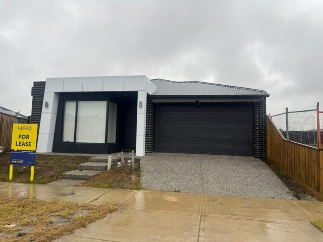 13 Tangelo Street, Mickleham