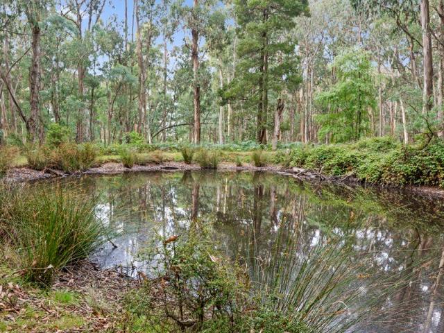 13 acres adjoining State Forest