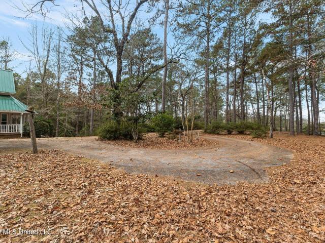 13 Albert Odom Drive