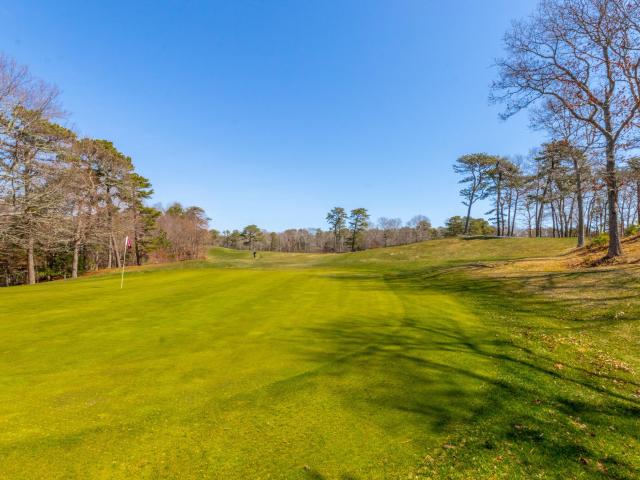 13 Hollyhock Knoll Court UNIT 13