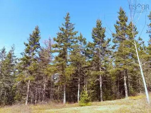 13 Johnny Cash Lane, Juniper Mountain, NS, B1K 0C2 vacant la.