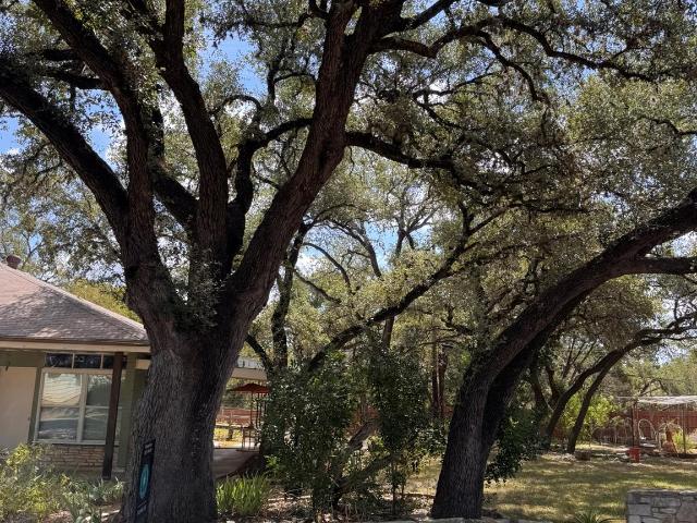 13 Presidio Rd