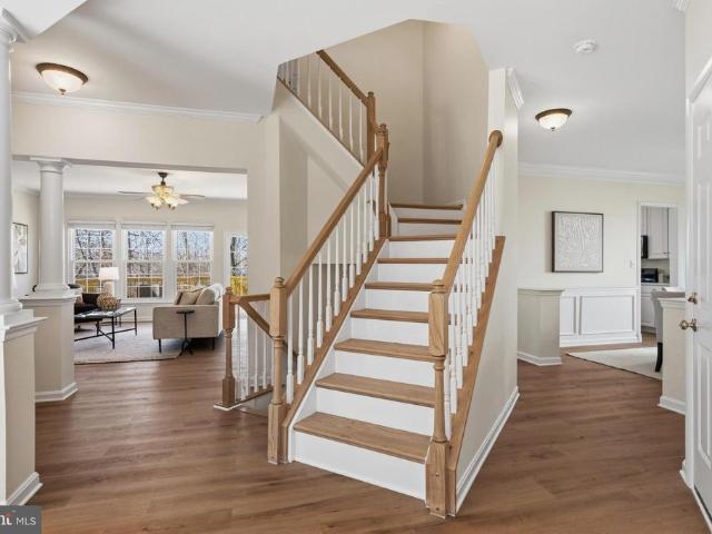 10052 Naughton Court