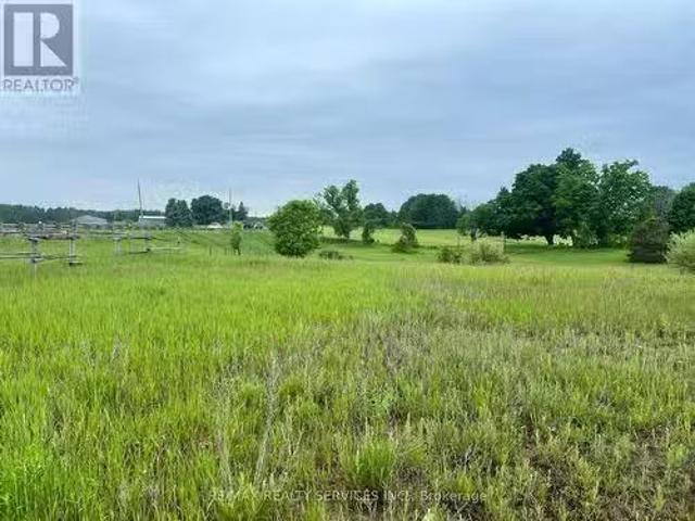 10054 Highway 9, Adjala Tosorontio, ON, L0N 1P0 vacant land.