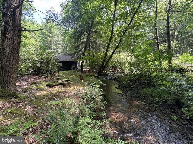 1006 Bear Meadows Road