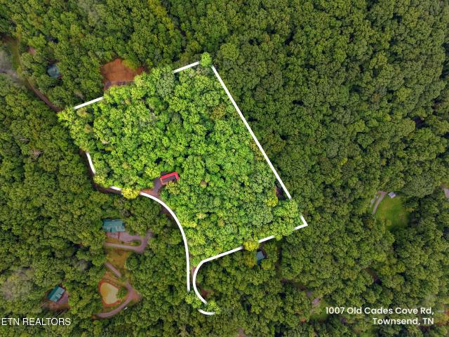 1007 Old Cades Cove Rd