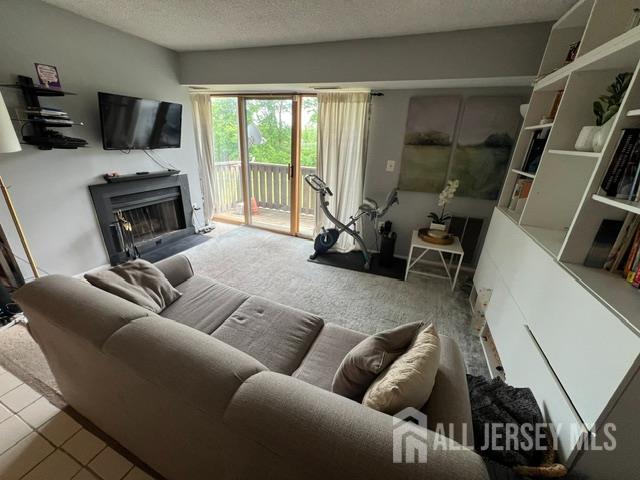 1009 Aspen Drive