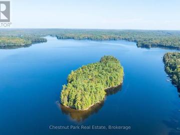 10000 Soyers Brown Island, Minden Hills Minden, ON, K0M 2K0 house for sale | Listing ID X13453 | Royal LePage