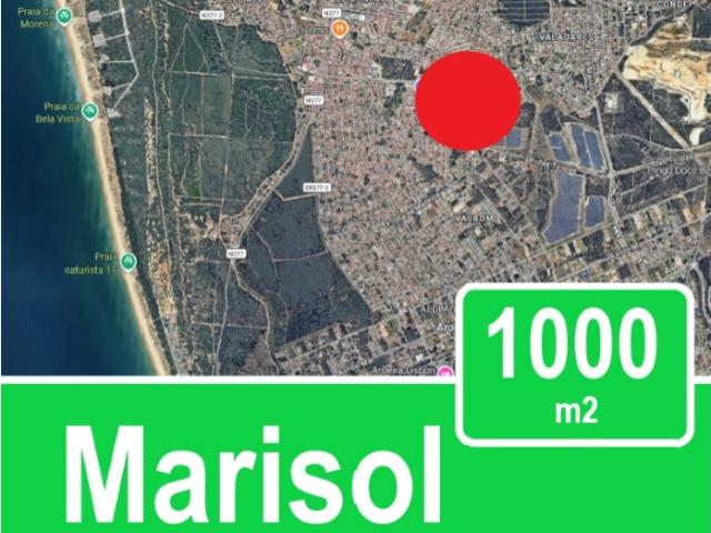 1000 m2 na Marisol
