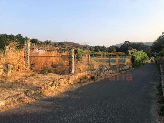 1000 m2 Terreno